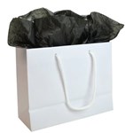 SMALL WHITE LAMINATED EUROPEAN GIFT BAG PK200 250mmL x 200mmH x 100mmGusset  SHIPS FROM SYDNEY