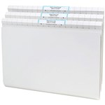 AVERY 166007 QUICKVUE FILES WITH FILE TITLE LABELS BX50