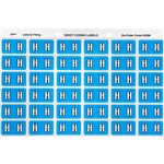 AVERY 43308 LABEL LETTER H 25X38MM BLUE 180PK