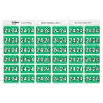 AVERY 43374 LATERAL FILE LABEL SIDE TAB YEAR CODE 24 25 X 38MM GREEN PACK 180