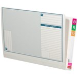 AVERY 46710 STANDARD LATERAL NOTES FILE 355X235MM WITH 35MM EXPANSION WHITE BX100