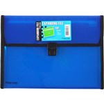 FOLDERMATE POP GEAR EXPANDING FILE 13 POCKET BUCKLE CLOSURE A4 BLUE