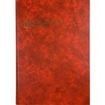 COLLINS 10870 ACCOUNT BOOK 3880 SERIES 84 LEAF 4 MONEY COLUMN