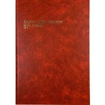 COLLINS 10919 ACCOUNT BOOK 3880 SERIES 84 LEAF FEINT ONLY