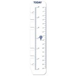 DEBDEN PR2008 PERSONAL DAYPLANNER REFILL TODAY RULER PK2