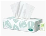 SORBENT FACIAL TISSUE 2PLY 100SHT CTN48