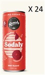 REMEDY SODALY BLOOD ORANGE 250ML CANS CTN24