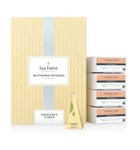 TEA FORTE PYRAMID INFUSER MOROCCAN MINT 48 PACK