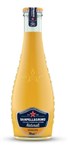 SAN PELLEGRINO ARANCIATA GLASS BOTTLE CTN 24