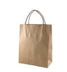 PAPER BAGS BROWN WITH TWIST LOOP HANDLE 320X420X110 CTN250