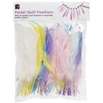 EDUCATIONAL COLOURS QUILL FEATHERS PASTEL ASSORTED 60G