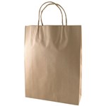 KRAFT PAPER CARRY BAG BM TWIST HANDLE MEDIUM BROWN PACK 250