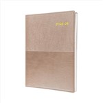 20252026 COLLINS VANESSA FINANCIAL YEAR DIARY DAY TO PAGE A4 CHAMPAGNE