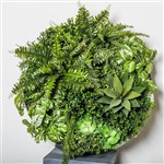 PLANT IMAGE VERTICAL WALL GARDEN ROUND SMALL