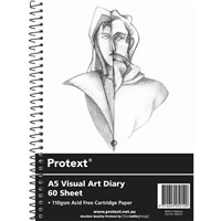 Visual Art Diaries
