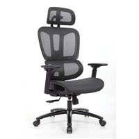 Executive Chairs